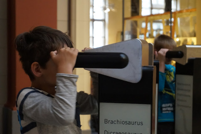 auf endeckungstour im naturkundemuseum berlin