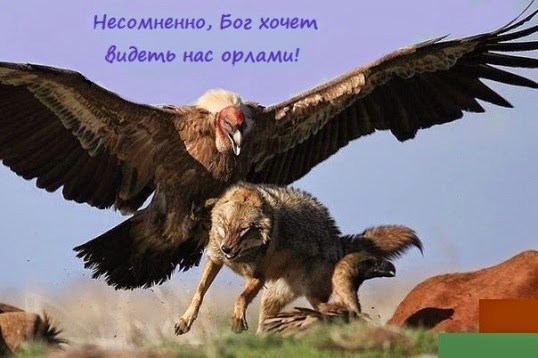 В Италии был найден клад времен Древнего Рима рекомендации В Италии был найден клад времен Древнего Рима рекомендации
