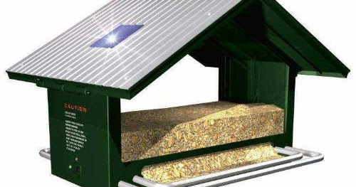 Best Squirrel Proof Bird Feeders Solar Powered Anti Squirrel Bird