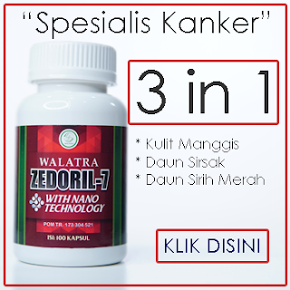 Zedoril Kapsul
