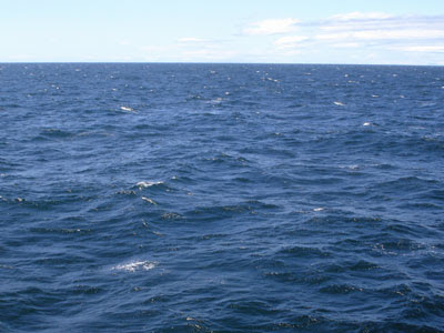 Faxaflói Bay, Atlantic Ocean