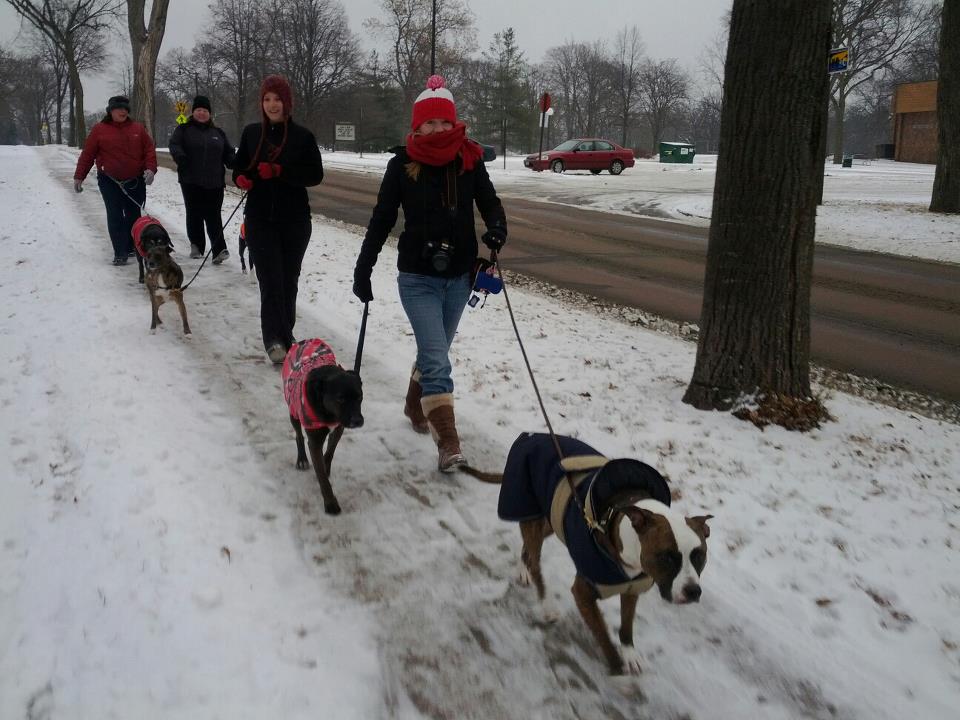 Twin Cities Pack Walk February 2012