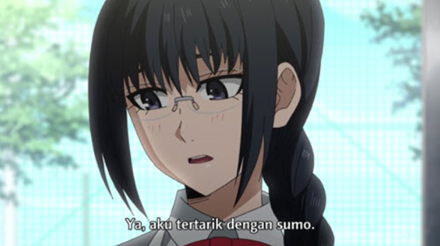 Hinomaruzumou Episode 11 Subtitle Indonesia