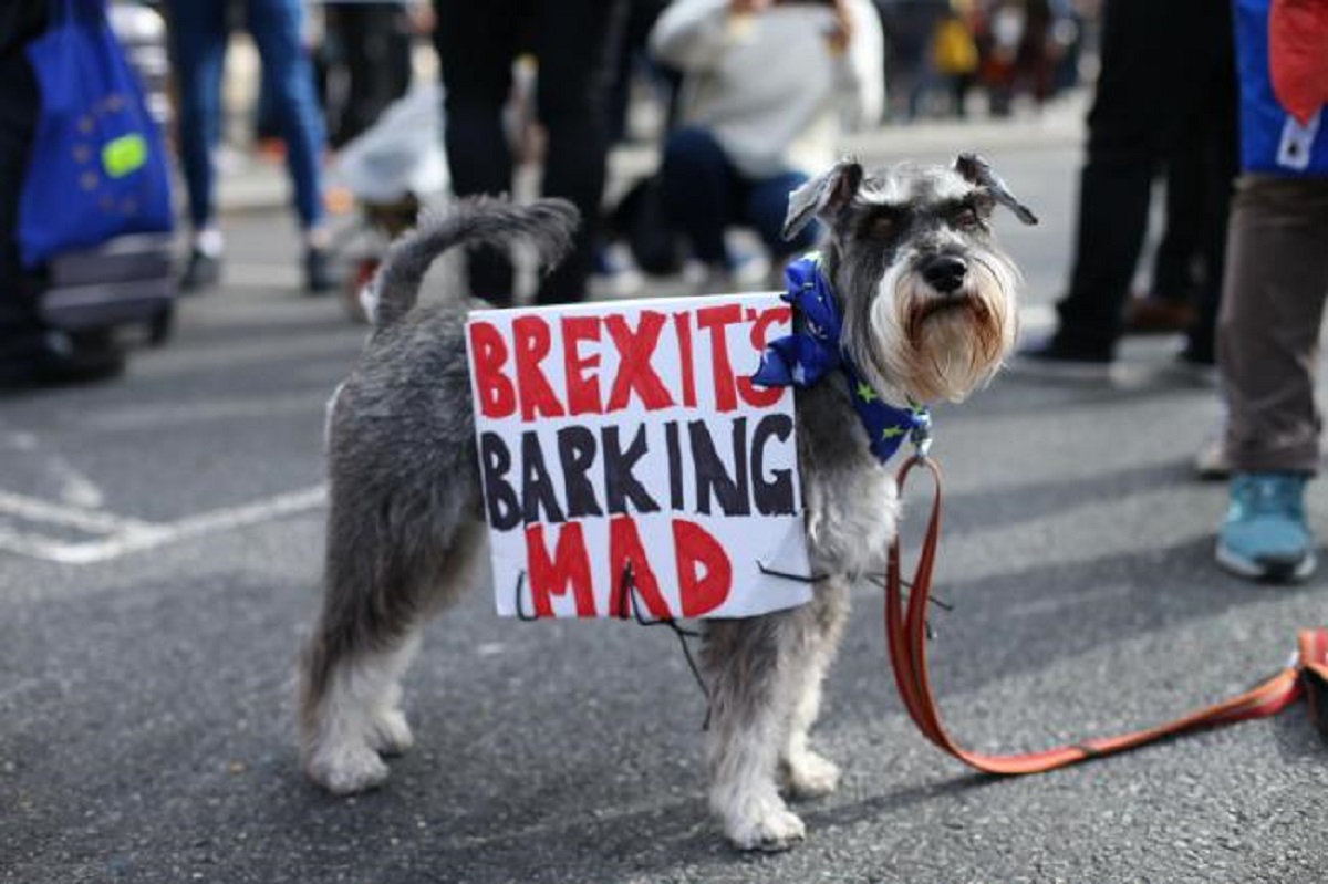 The Impact of Brexit on Dog’s Welfare in the UK Doglopedix