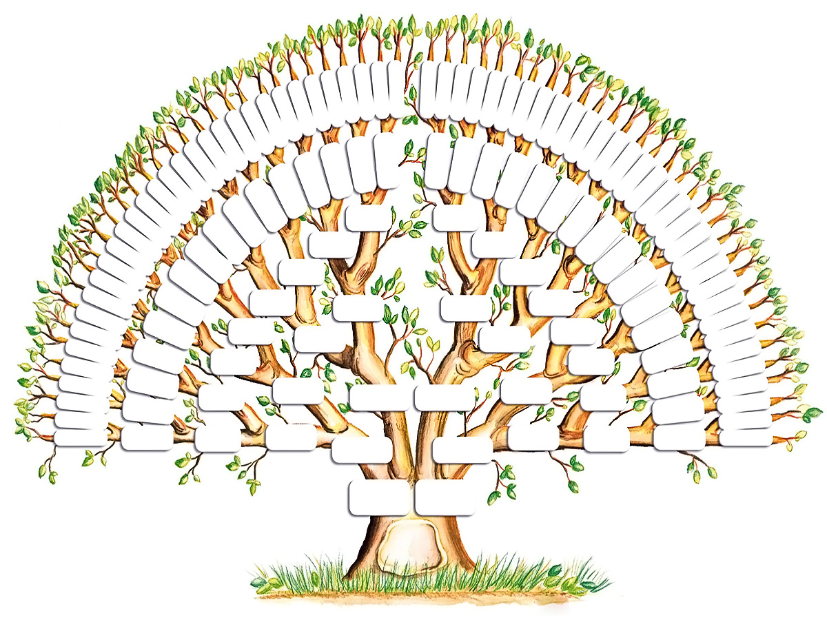 blank genealogy tree