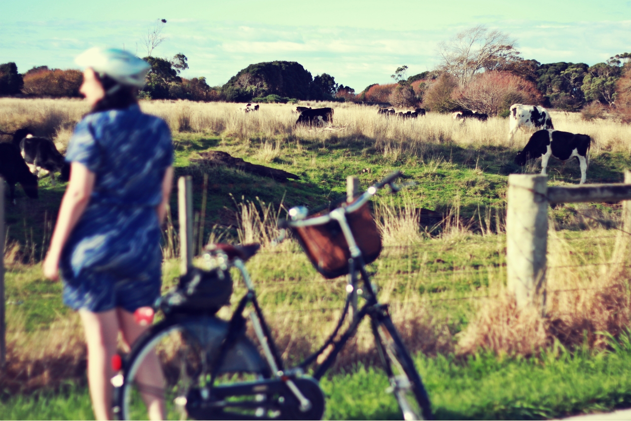 Bicycle! Bicycle! Ulverstone to Turner's Beach