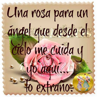 Imagen de consulta de la búsqueda visual