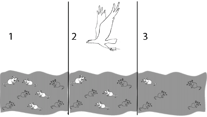 Is Extinction A Natural Selection Process Is Extinction A Natural Selection Process