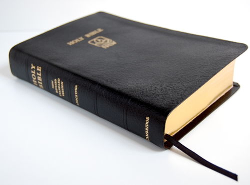 Catechism & Catechesis: Bible's Cool (BIBLE SCHOOL)