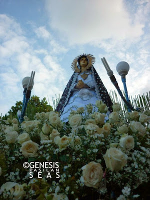 The Carozza of the Mater Dolorosa decorated with white roses