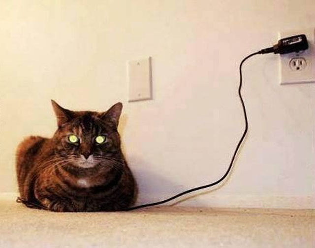 Cassandra's Legacy Saving the world, one lawsuit at a time a new