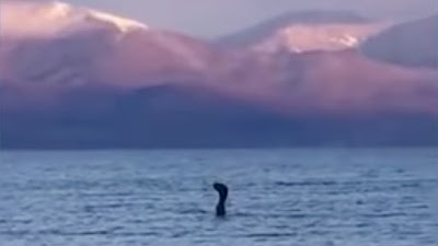 Un ex professore di geografia ha condotto una spedizione per rintracciare l'origine di questo fenomeno osservato nel lago Prespa, ubicato tra Grecia, Albania e Macedonia.
