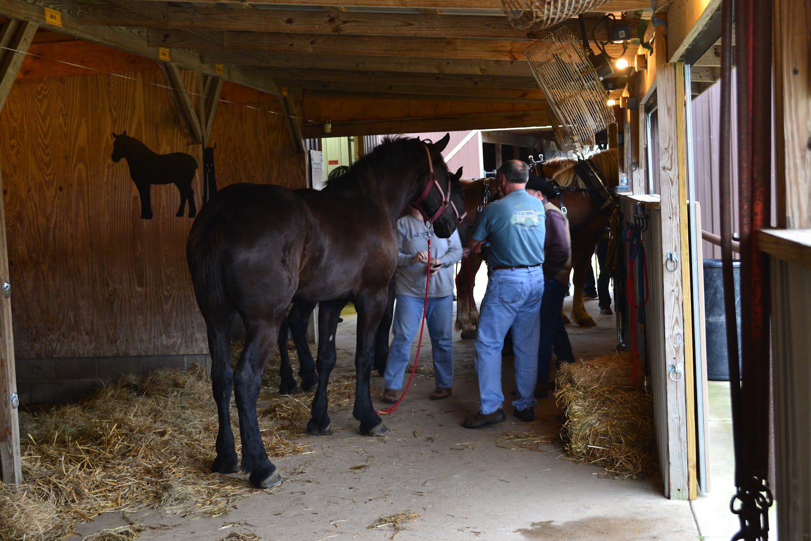 A Baker's Dozen Barnhouse News Learning to Farm With Draft Horses