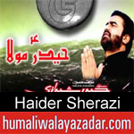 https://www.humaliwalayazadar.com/2012/11/haider-sherazi-nohay-2011-203.html
