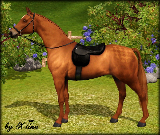 Horse sim