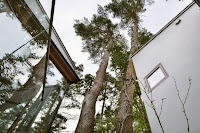 Daisen Unusual Natural House Design Wraps Around Trees