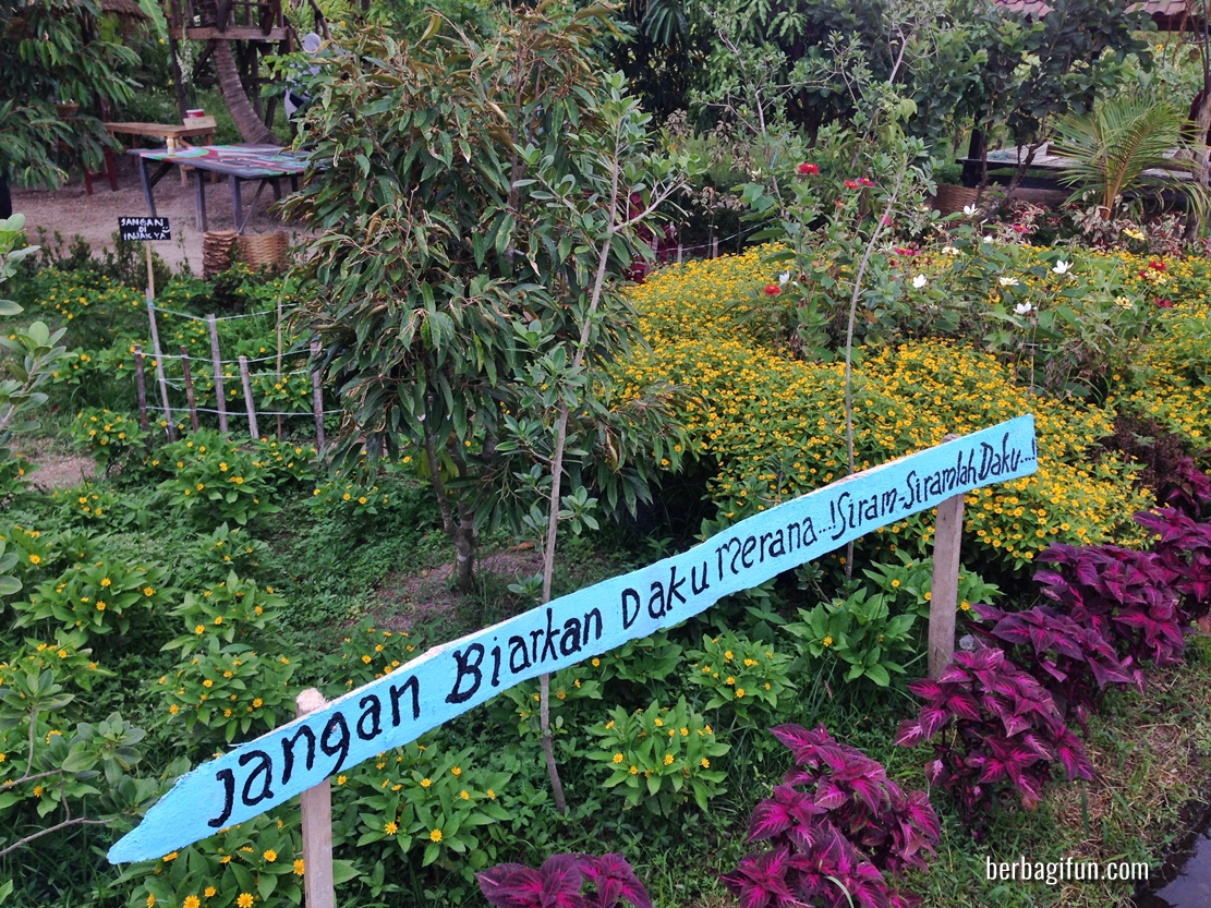 Paling Bagus 20+ Bunga Matahari No Togel Gambar Bunga Indah