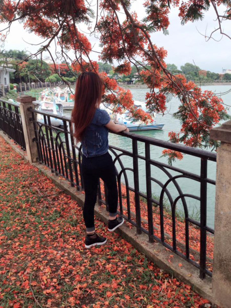 Hoa phượng đỏ rực rỡ trên Facebook tháng 5 - Ảnh 8 Hoa phuong do ruc ro tren Facebook thang 5 - Anh 8
