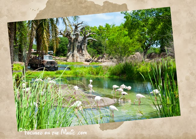 Afternoon Game Drive Paired with Dinner at Disney’s Animal Kingdom Lodge