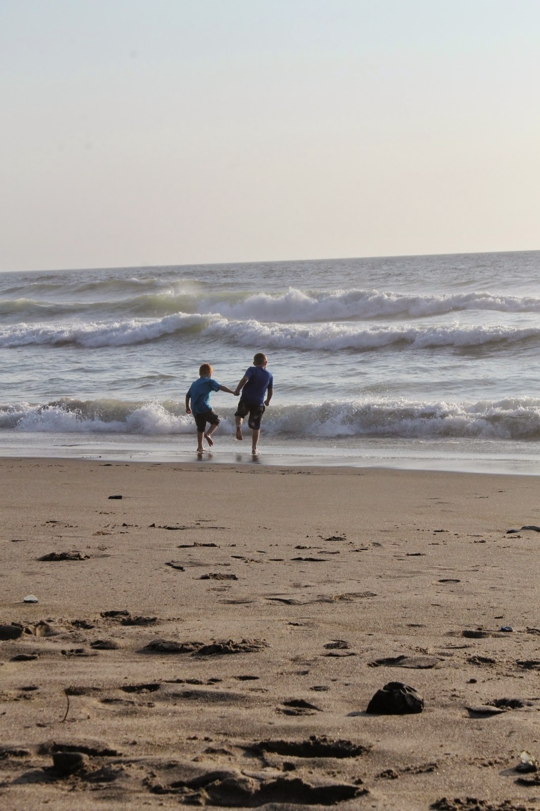 Oregon Coast  2014