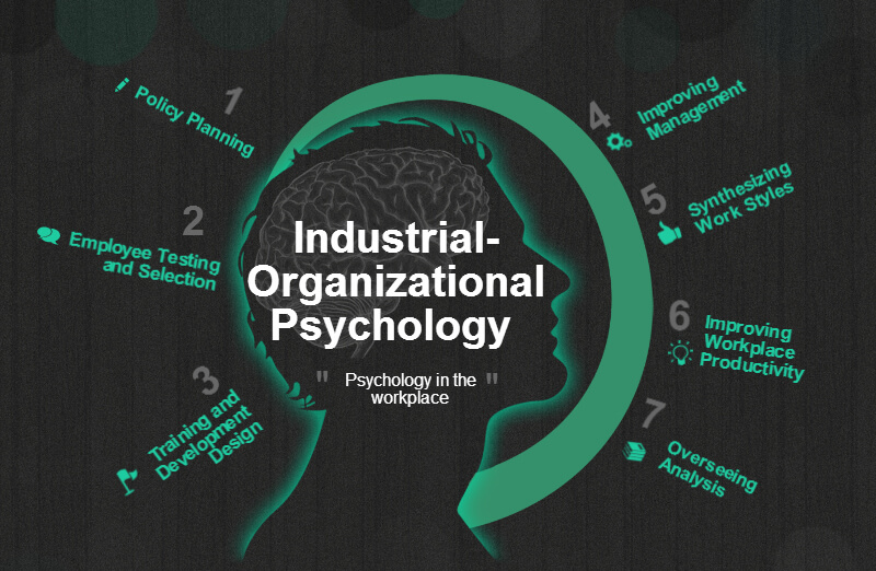 Essay about psy 428 guides inspiring mindspsy428guidescom 03 image