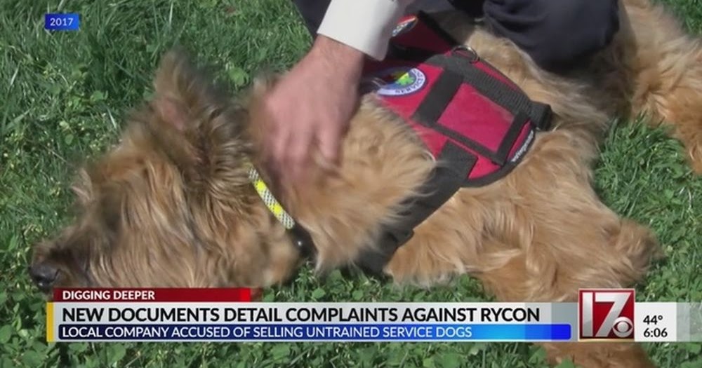 Service Dog Patriots RyCon Service Dogs shuts down following complaints