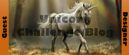 Unicorn Challenge blog
