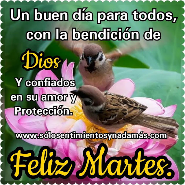 Feliz martes.