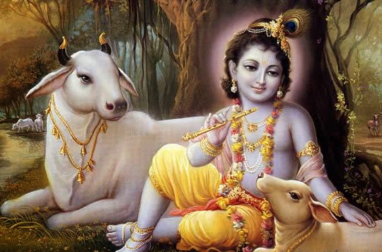 meera krishna bhakti sangeet by anuradha paudwal part2 mbhajan download free bhajans mp3 meera krishna bhakti sangeet by