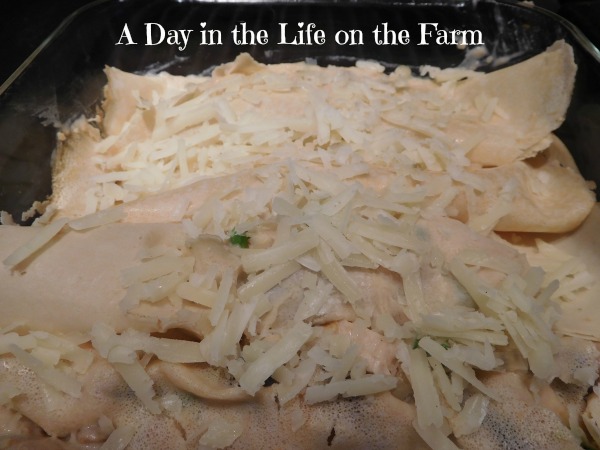 A Day in the Life on the Farm Crepes Chicken ala King and