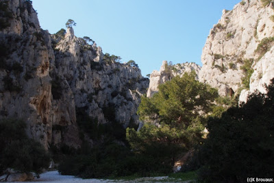 Les falaises calcaires d'En Vau, vue d'en bas