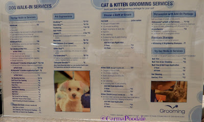 cat services and walk in services 