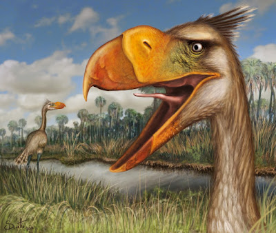 aves prehistoricas de Argentina Llallawavis