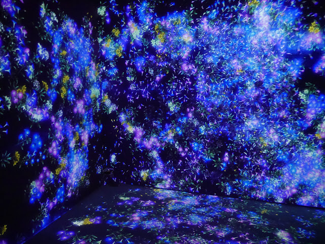 2017,summer 走吧帶媽姊去首爾玩：老少咸宜 蠶室TeamLabWorld藝術展