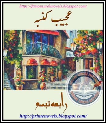 Free download Ajeeb kumba novel by Rabia Tabassum Episode 2 pdf