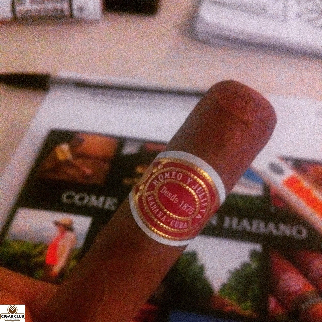 corso academia habanos