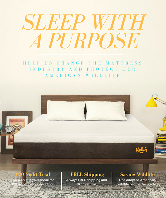 Enter to win a FREE Nolah Mattress Giveaway Building Our Story