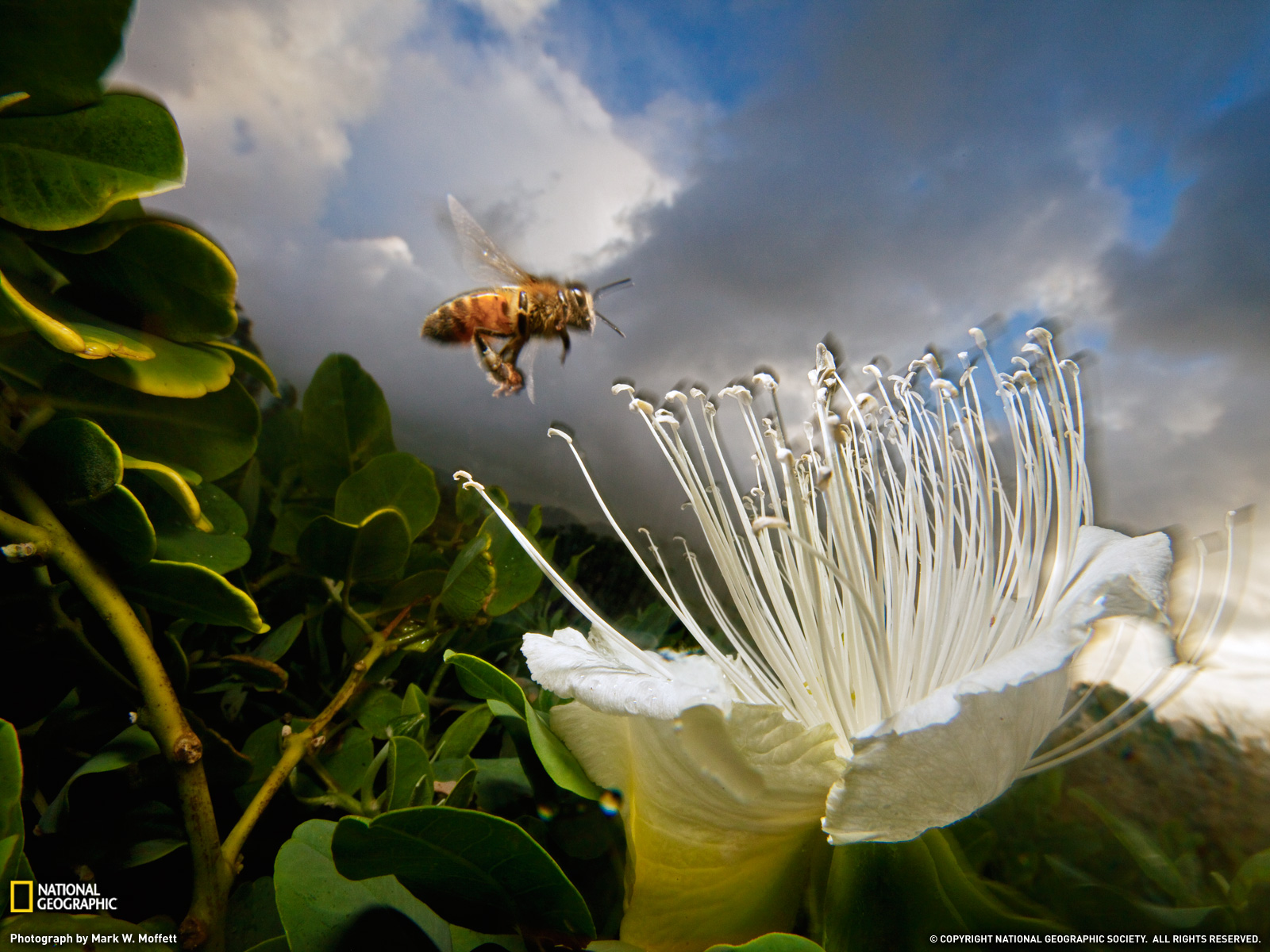 Wallpaper Photos Kauai