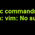 Basic commands in Linux not working : -bash: vim: No such file or directory