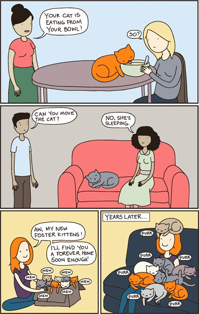 14 Funny Cartoons That Illustrate Living Alone VS Living With A Cat (Or More)