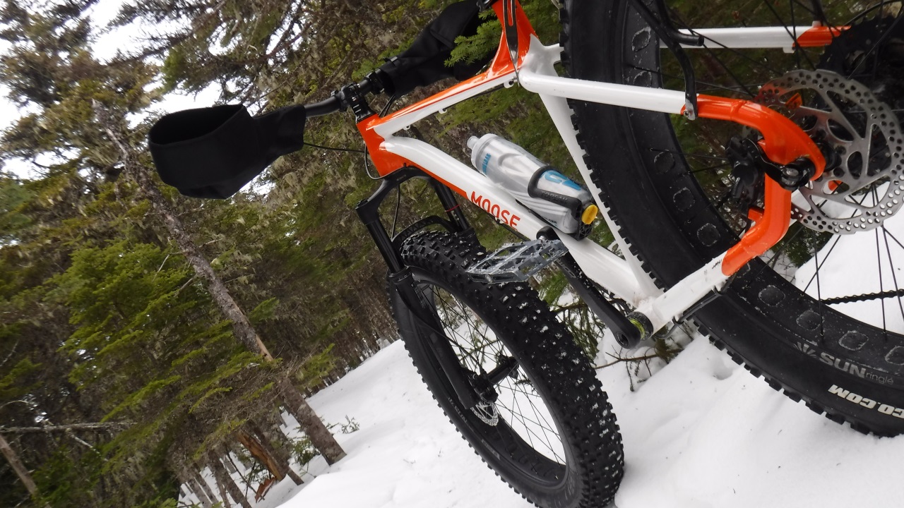 moose fat bike 1 review