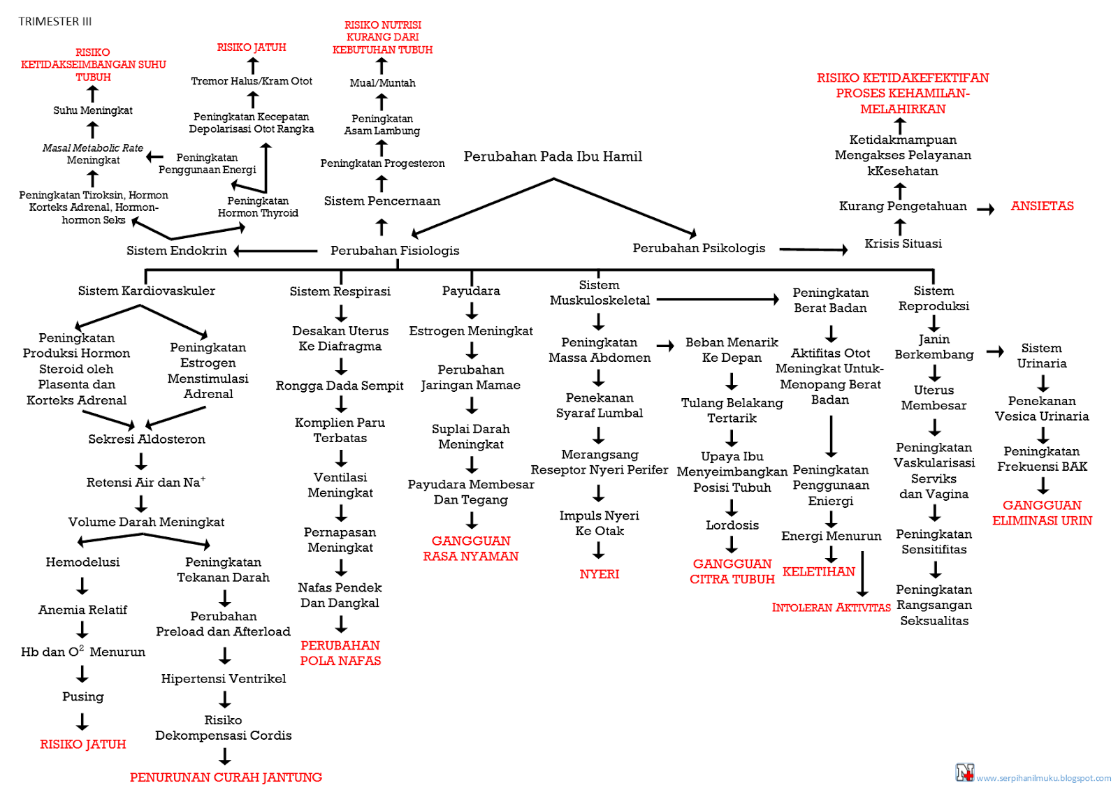 Pathway Kehamilan Trimester III