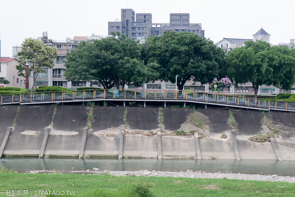 台中北屯|鉅虹建設海天橋水岸公園|百日草|落羽松|阿勃勒|美景盡收眼底 台中北屯|鉅虹建設海天橋水岸公園|百日草|落羽松|阿勃勒|美景盡收眼底