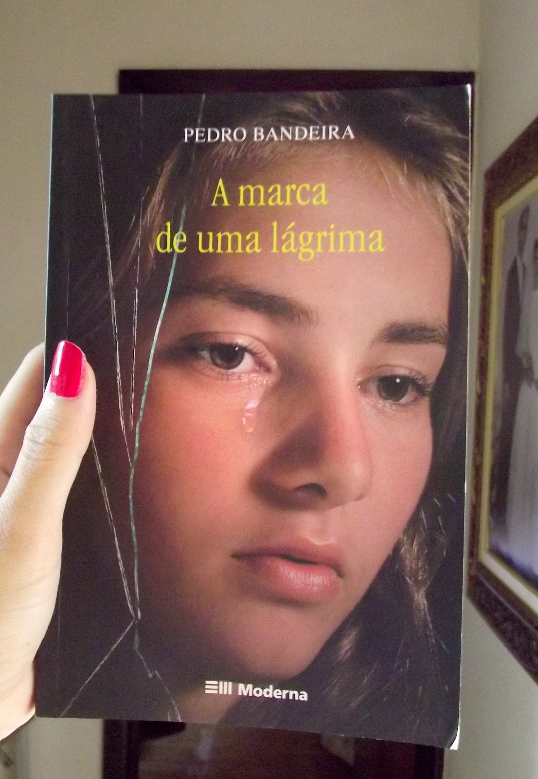 Resumo Do Livro A Marca De Uma Lágrima