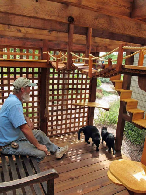 kandang kucing dari kayu lengkap dengan mainan referensi kandang kucing dari kayu lengkap dengan mainan referensi
