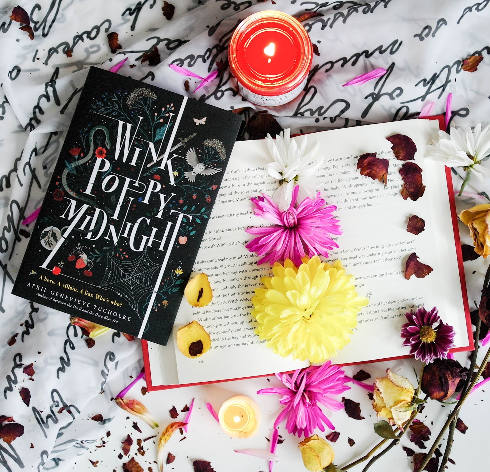 Book Review Wink Poppy Midnight by April Genevieve Tucholke Bookish