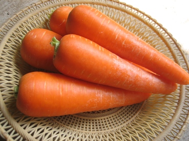 Asian Carrot 91