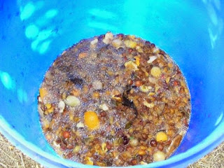 Compozitie pentru fermentat reteta decoct compost fructe prastina prepararea tuicii de casa retete alcool,