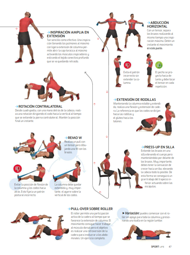 Rutinas de Ejercicio Reforzar la Columna