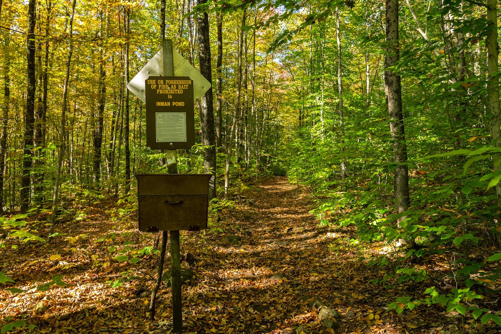 Hiking the Dacks Inman Pond Lake Wild Forest
